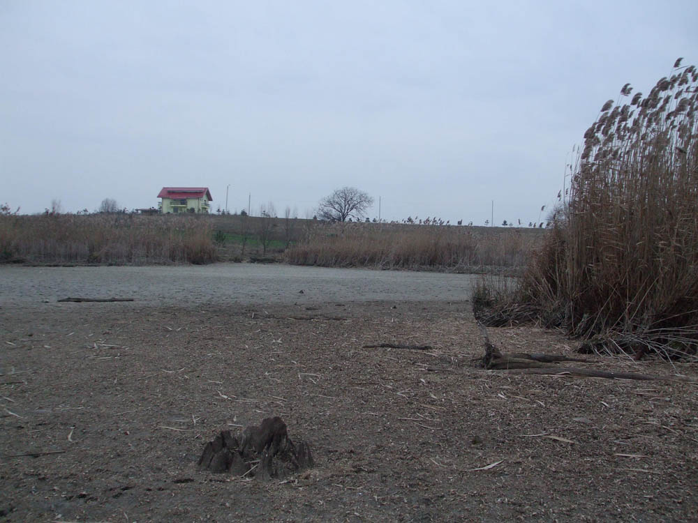 TANCABESTI SECAT - DSCF3470.jpg